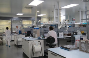 ep economiaempresas- reig jofreplantea crecer mediante operacionessentido financieroencaje estrategico