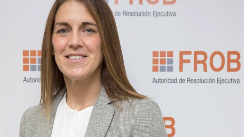 ep finanzas el frob delega en su presidenta la adjudicacion y formalizacion de contratos ep finanzas el frob delega en su presidenta la adjudicacion y formalizacion de contratos