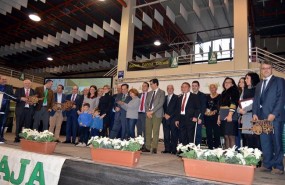 ep np pilar zamorala comidahermandadasaja