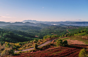 landscape 5302482 1280 landscape 5302482 1280