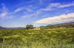 scenery 3463152 1280 scenery 3463152 1280