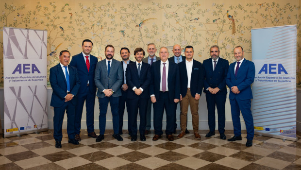 aea junta directiva aea y ministro med 