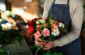 antea flora 1 1 1 antea flora 1 1 1