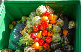 ep archivo   el ciclo sostenibiliad alimentaria abordara la coexistencia de hambre y obesidad o el