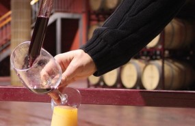 ep barricas vino bodega