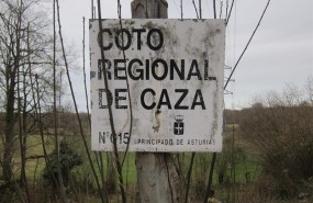 ep cotocaza