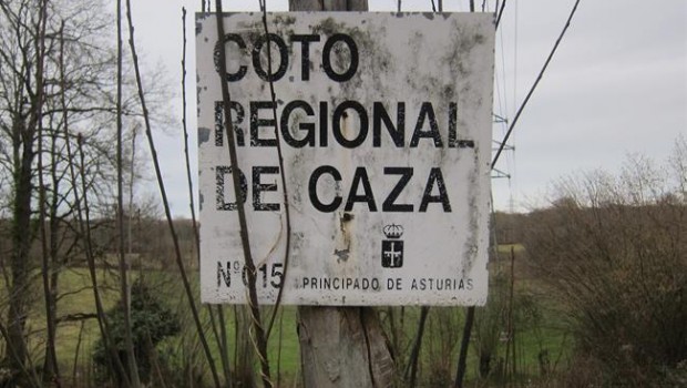 ep cotocaza