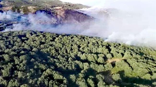 Incendio en Cabezuela del Valle | AT BRIF ep incendiocabezuelavalle
