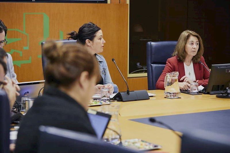 ep la fiscal superior del pais vasco durante su comparecencia en comision en el parlamento vasco