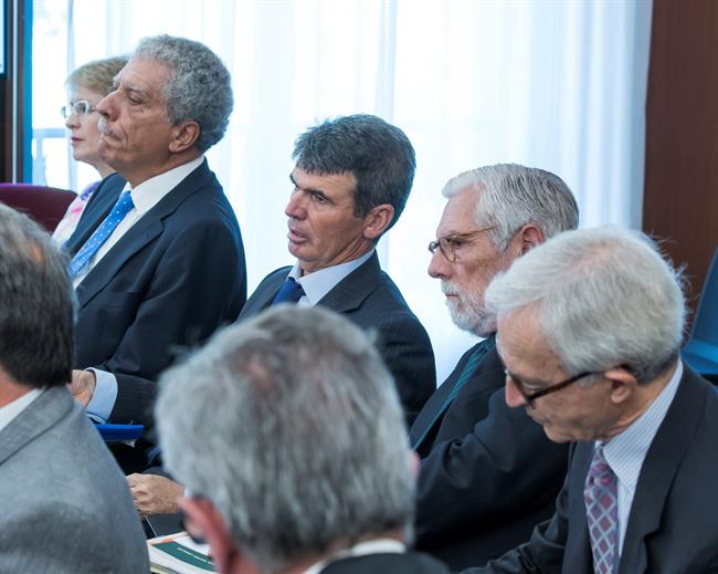 ep peritos declaranjuiciocasolos ere