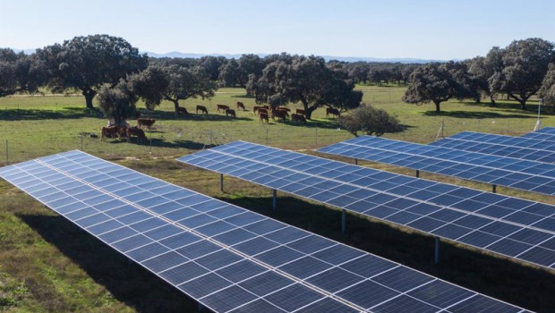 ep planta solar talayuela ii statkraft en caceres