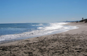 ep playala garroferavalncia