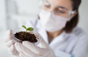 ep producto de investigacion de adl bionatur