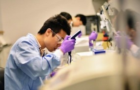 ep recurso laboratorio