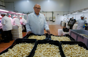 gerente la abuela carmen gerente la abuela carmen