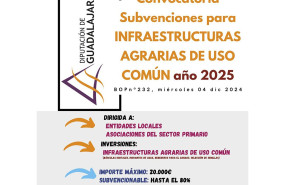 sin ttulo 1 20241212164045 sin ttulo 1 20241212164045