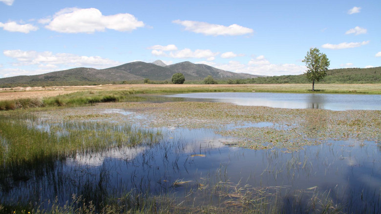 1604334801 laguna de cantarranas