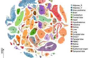 1657863692 map 20220715104728 