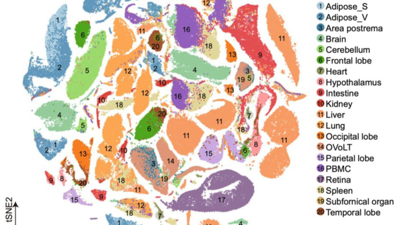 1657863692 map 20220715104728 