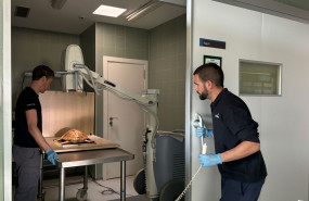 2024 tortuga maruja 2 1 20240415135711 2024 tortuga maruja 2 1 20240415135711