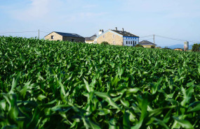 airbnb community fund 20260226121610 