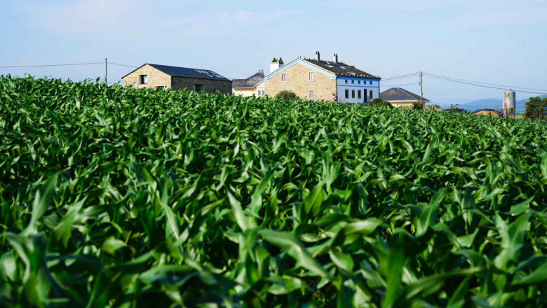 airbnb community fund 20260226121610 