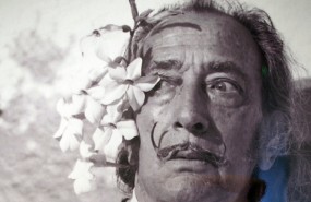 dali foto