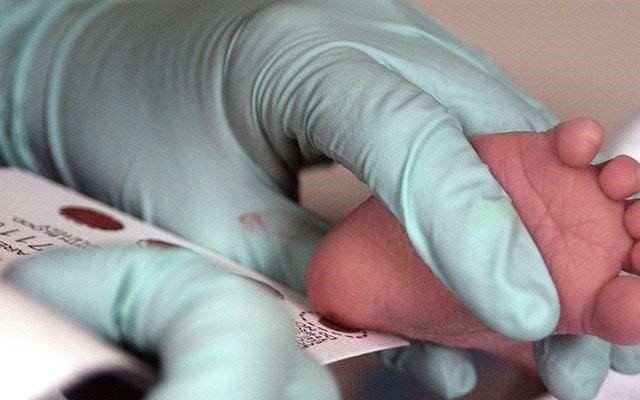 ep al nacer se toman muestras de sangre de los recien nacidos y se utilizan para detectar