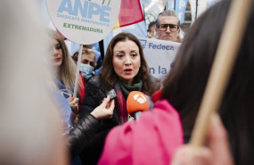 ep archivo   la presidenta de fedeca ana ercoreca de la cruz atiende a los medios durante una