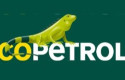 ep archivo   logo de ecopetrol 20260129190805