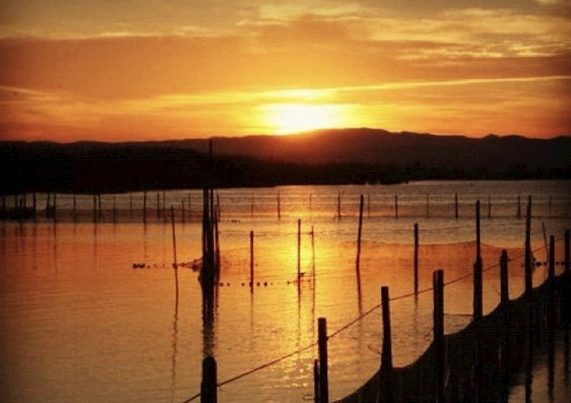 ep atardecer en lalbufera de valncia