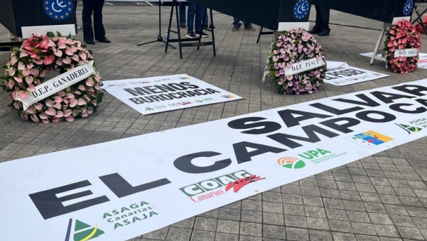 ep concentracion del sector primario frente a la delegacion del gobierno en canarias para protestar