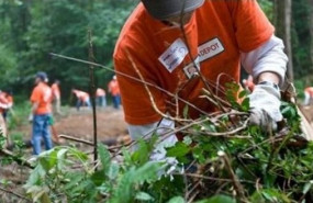 ep home depot 20200818164203
