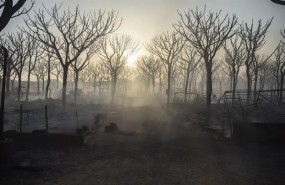 ep incendio forestalmoguer huelva 20170625234803