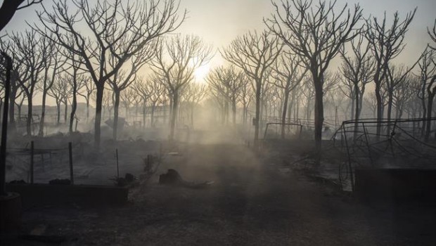 ep incendio forestalmoguer huelva 20170625234803