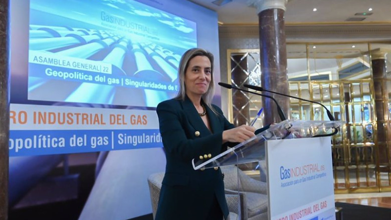 ep la presidenta de gasindustrial veronica rivire ep la presidenta de gasindustrial veronica rivire
