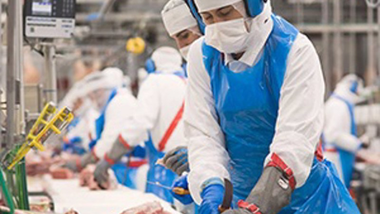 Plantilla de Incarlopsa, trabajador. | INCARLOPSA ep plantilla de incarlopsa trabajador
