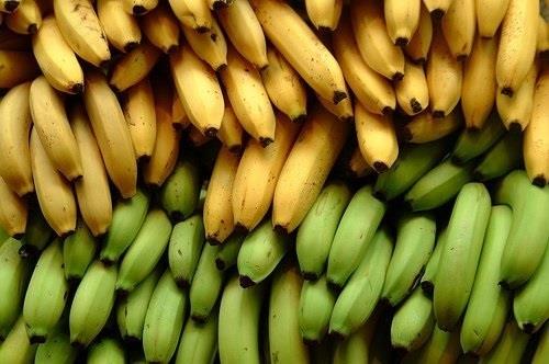 Plátano | CEDIDA ep platano