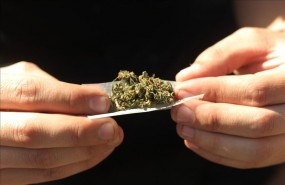 marihuana mexico marihuana mexico
