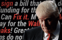 trumpeleccionesperder trumpeleccionesperder