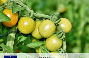 1567691254 imagen nota prensa algar bbe 1567691254 imagen nota prensa algar bbe