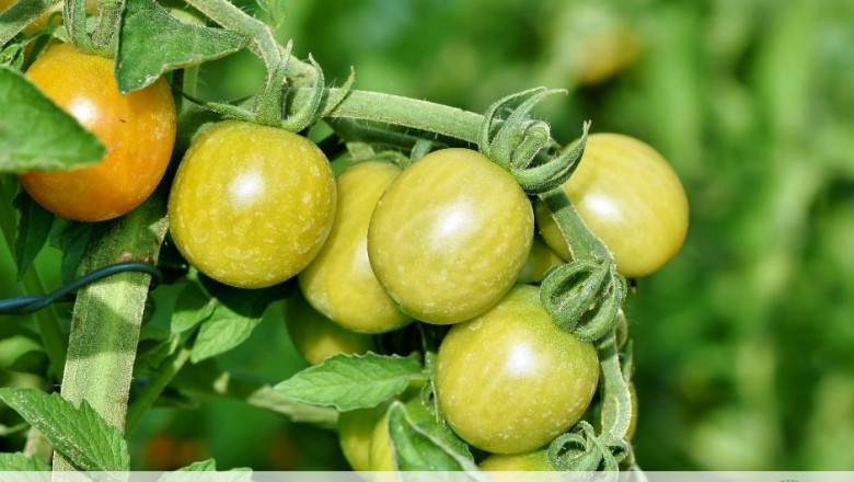 1567691254 imagen nota prensa algar bbe