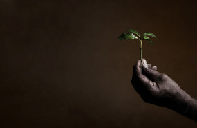 1618564662 illyb corp sustainable orizz