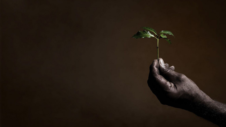 1618564662 illyb corp sustainable orizz