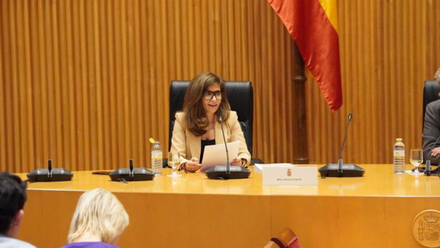 ep archivo   la presidenta de adigital susana voces en la sesion de la comision de economia del