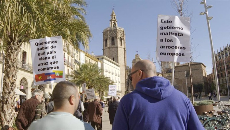 ep arroceros valencianos exigen un correcto etiquetado del origen del arroz para evitar enganar al ep arroceros valencianos exigen un correcto etiquetado del origen del arroz para evitar enganar al