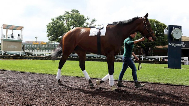 ep caballo en el derby de kentucky