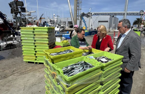 ep costera del bocarte en el puerto de santona