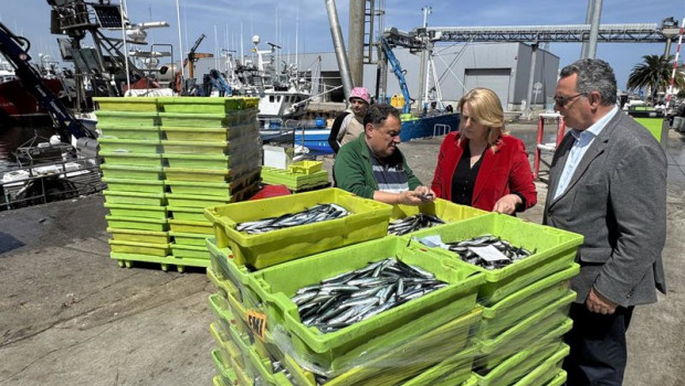 ep costera del bocarte en el puerto de santona