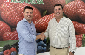 ep jose antonio martin izquierda es elegido nuevo presidente de freshuelva